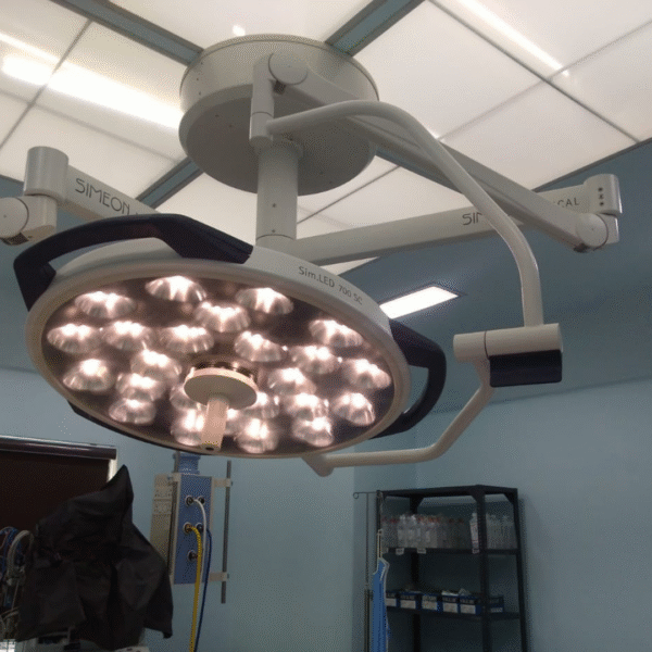 Untitled design crop